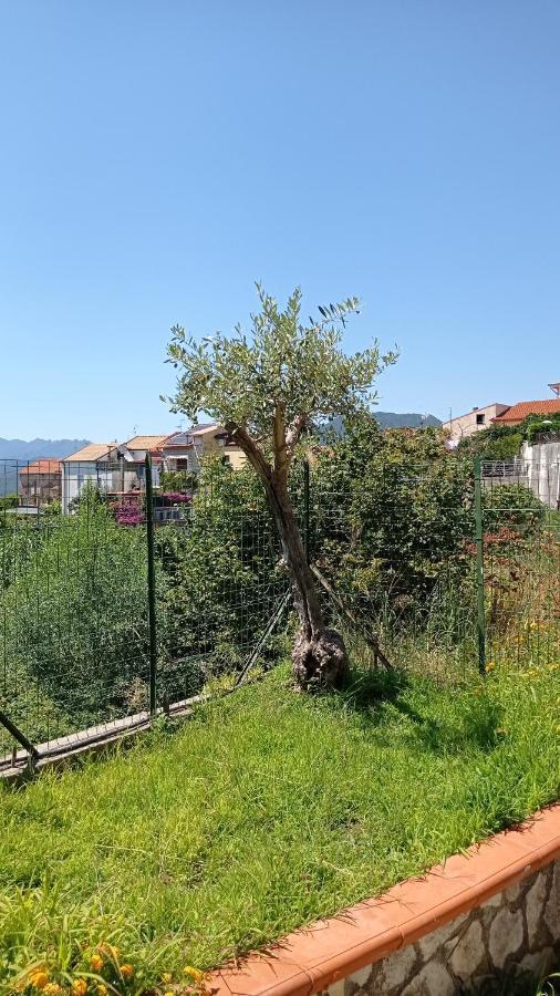 Gatti E Mare Villa Salerno Eksteriør billede